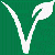 VSDC